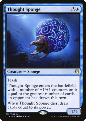 Thought Sponge (C19 #012)