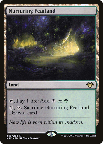Nurturing Peatland (MH1 #243)