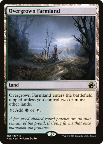 Overgrown Farmland (MID #265)