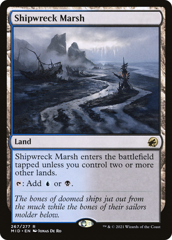 Shipwreck Marsh (MID #267)