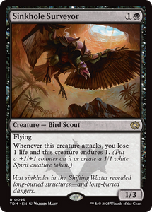 Sinkhole Surveyor (TDM #093)