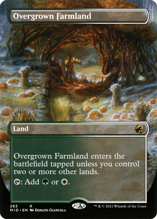 Overgrown Farmland- Borderless (MID)