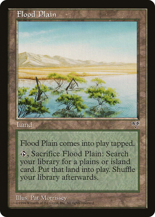 Flood Plain (MIR)